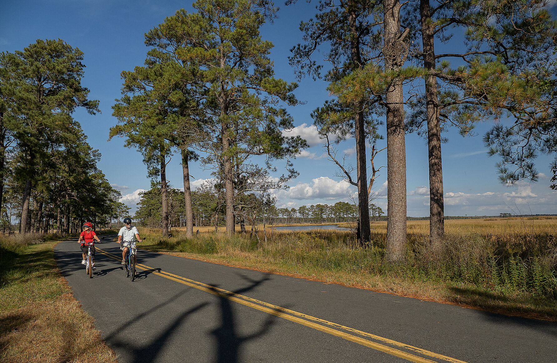 Bicycling at Blackwater